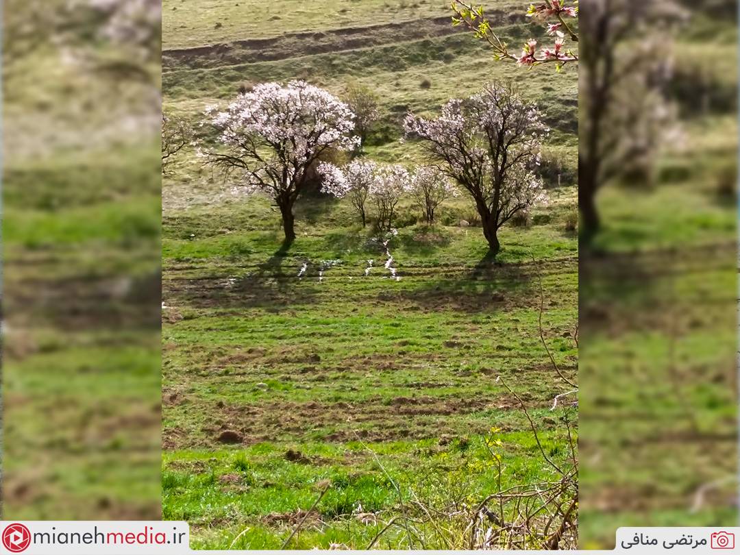 روستای هیندیلان