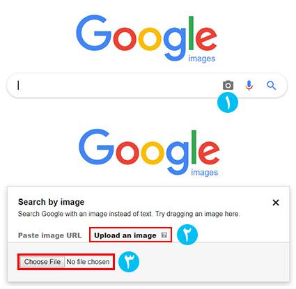 سرچ عکس در گوگل