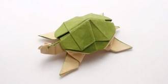 لاکپشت کاغذی