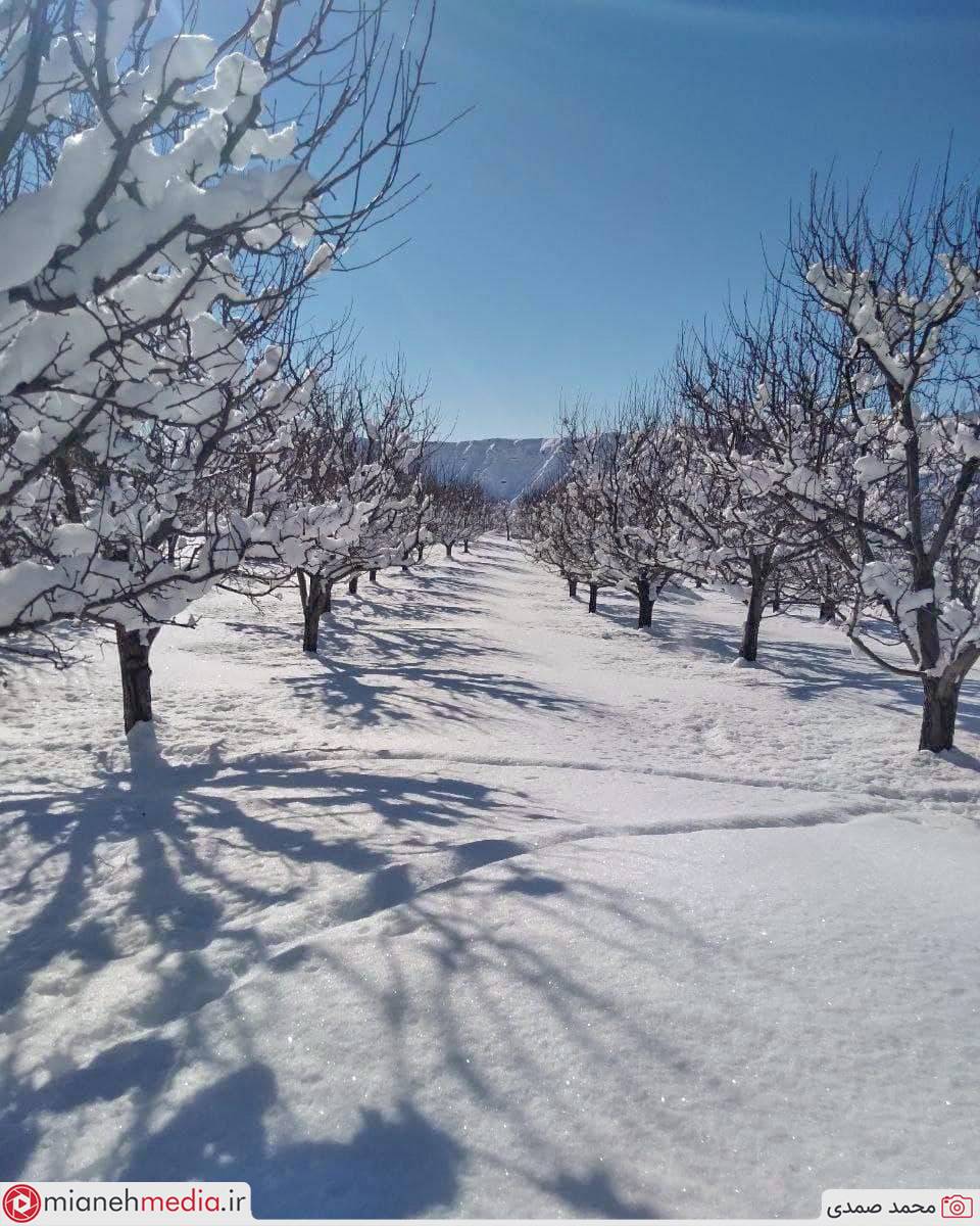 طبیعت زمستانی دهستان تیرچایی بخش کندوان