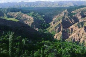 برزلیق قشلاغی
