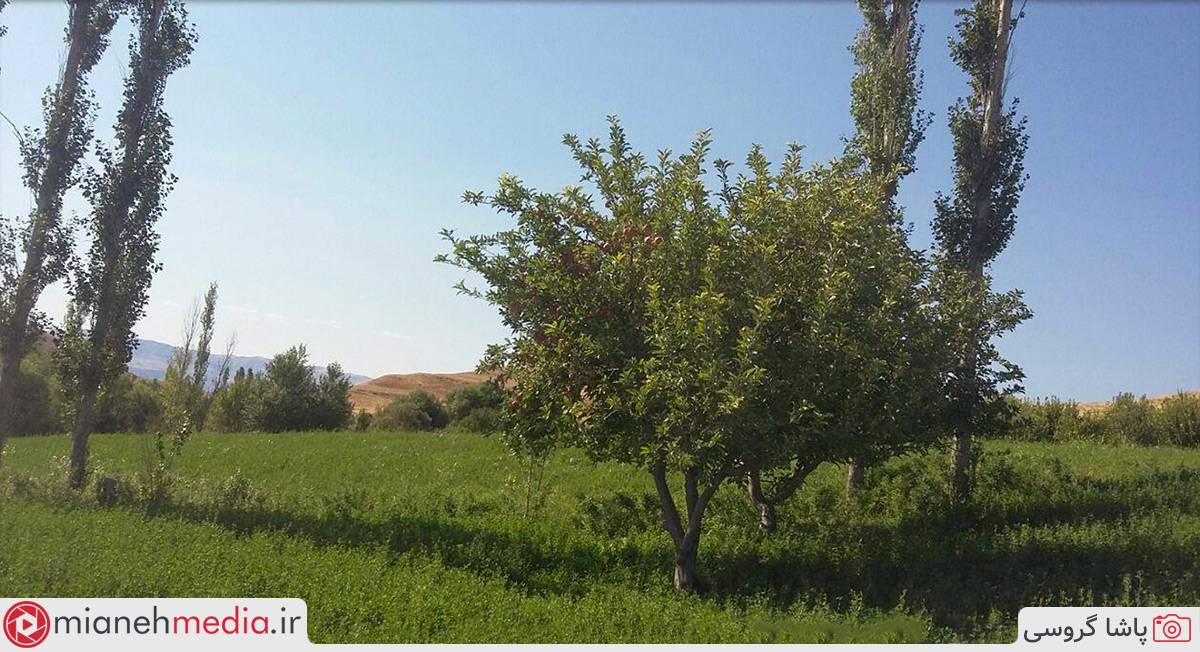 طبیعت روستای برنلیق حسین خان