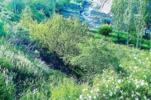 عکس روستای قشلاق برزلیق