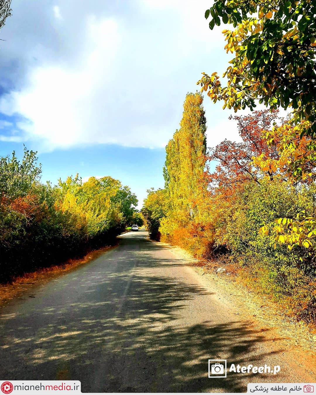 جاده پاییزی