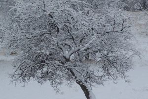 طبیعت ایشله