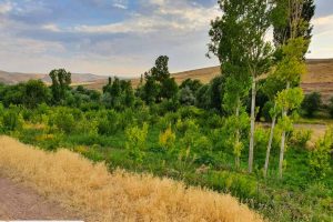 روستای بجووان