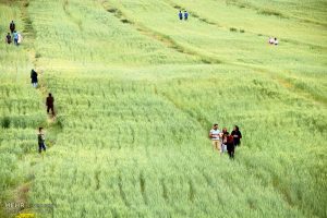 مراسم اویوخلو قوشابولاق