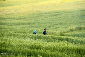 اویوخلو قوشابلاغ