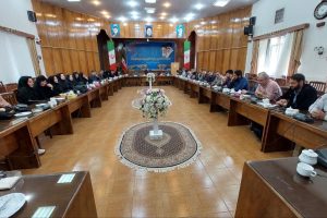 فرماندار میانه: باید جلسات ستاد، رویکرد کارشناسانه و میدانی داشته باشد