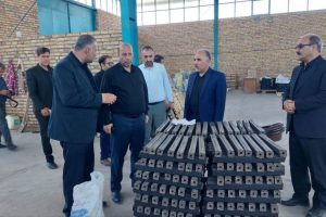 بازدید هنربر از دو واحد تولیدی شهرک صنعتی کاغذکنان