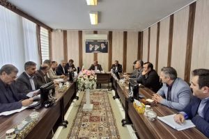 آغاز بررسی مطالعاتی سرمایه‌گذاری شستا در حوزه دامپروری و صنایع تبدیلی میانه