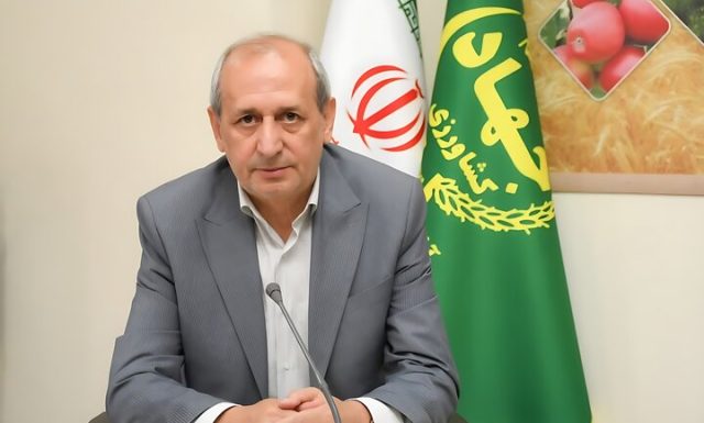 کشت برنج در ۶ هزار و ۴۵۰ هکتار از اراضی میانه