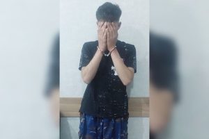 دستگیری عامل ضرب و جرح با سلاح سرد در پارک انقلاب میانه