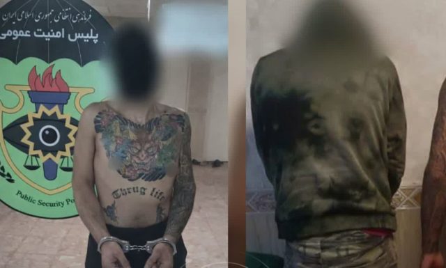 زمین‌گیر شدن افراد قمه ‌به ‌دست در پارک انقلاب میانه