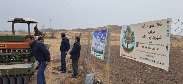 راه‌اندازی مزرعه الگویی گیاهان دارویی در بخش کندوان