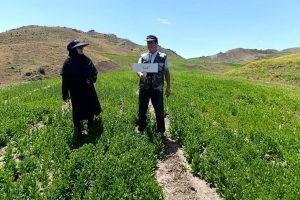 پایش مزارع سایت پایداری تولید در روستای گلوجه اسلام