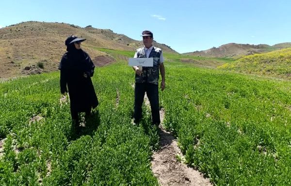 پایش مزارع سایت پایداری تولید در روستای گلوجه اسلام