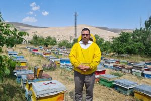 آذربایجان شرقی دومین تولیدکننده عسل کشور شد