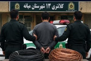 سرقت در پوشش خانواده؛ سارق کابل برق در میانه لو رفت