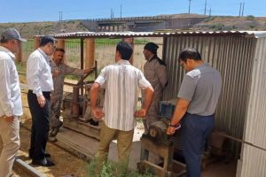تأکید بر حفظ کیفیت ذخایر گندم در میانه