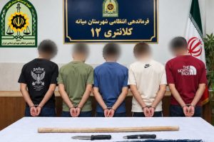 دستگیری ۵ عامل درگیری در پارک انقلاب میانه