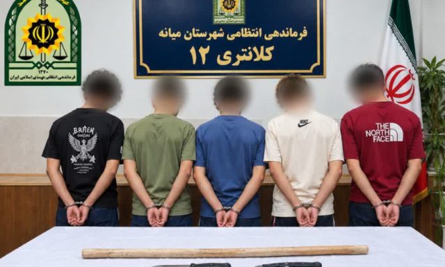 دستگیری ۵ عامل درگیری در پارک انقلاب میانه