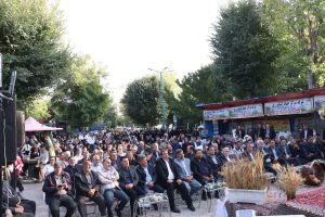 میانه؛ تولید ۱۷ هزار تن برنج و گردش مالی ۵ همتی