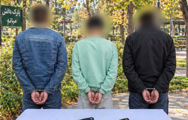 دستگیری ۳ نفر از مخلان نظم عمومی در پارک دانش میانه